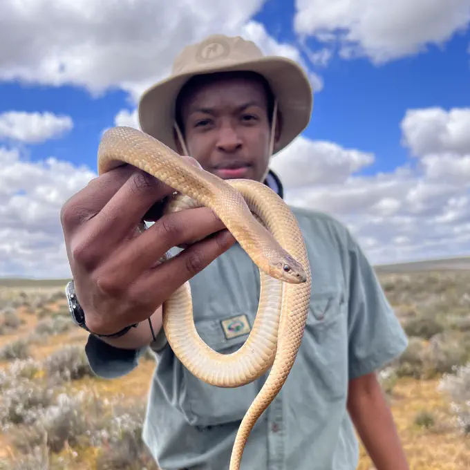 Shane Ngwenya